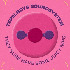 Tepelboys Soundsystem
