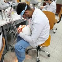 Hamed Mohammed