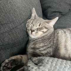 daisuki second acc :D! ^)^TTTTTT