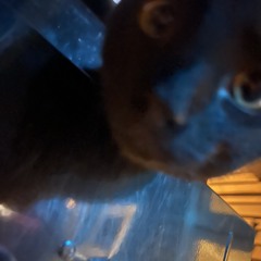 The good shit🤩🤷‍♀️🔥