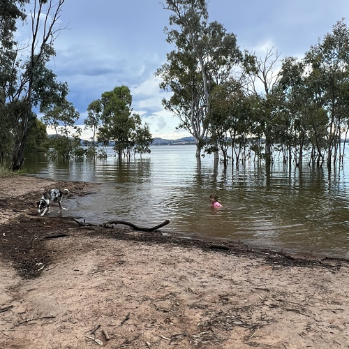 One (Lewis Capaldi Rendition)