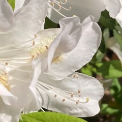 ☆