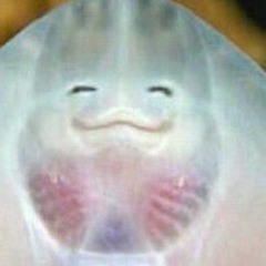 해우