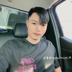 VIETMIX2K25 -TÈ LE HỘT ME x PHUCBI