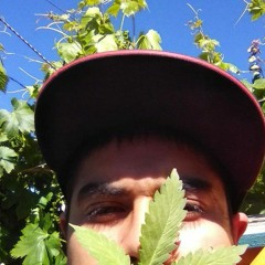 Sebastian Carvajal Diaz