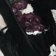 ☆♬○♩●♪✧♩ Sonia lovely ♩✧♪●♩○♬☆