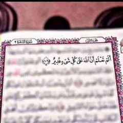 شعبي