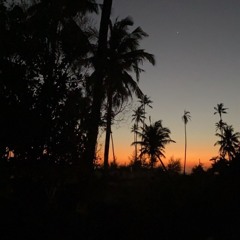 rshamsi