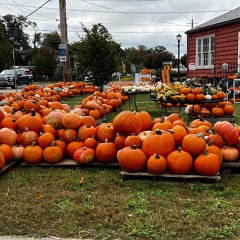 04 - Perfect Strangers - NE Spring