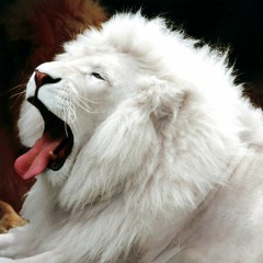 𝔽𝔼𝔸ℝ𝕃𝔼𝕊𝕊 ℍ𝕠𝕞𝕖-𝕊𝕥𝕦𝕕𝕚𝕠👑