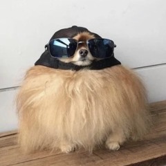 бэггиджинсович