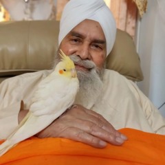 mohan kaur