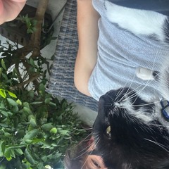 luxey