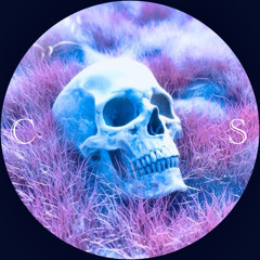 CRYSTAL SKULL