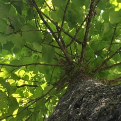 Soo-Nam S♡︎D Dor-Jee