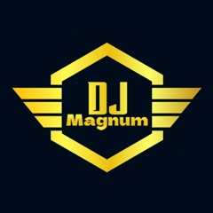 DJ Magnum