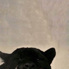 sol