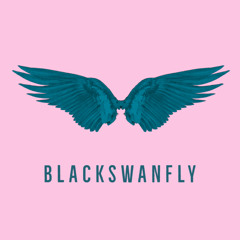 BlackSwanFly