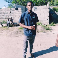 Mario Rodrigues