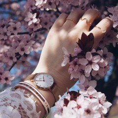 ام عبدالملك