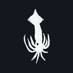DJ BEEFSQUID