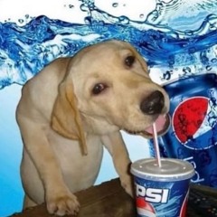 kkkkkkkkkkkkkkkkkkkkkkkklyb