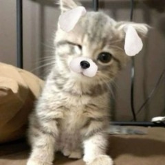 remo