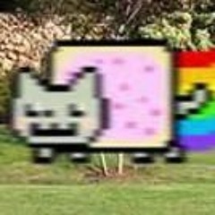 ˚‧₊★･:*･ﾟ♡･ﾟ✧𝓝𝓨𝓐𝓝✧𝓒𝓐𝓣✧･ﾟ♡･ﾟ*:･★‧₊˚