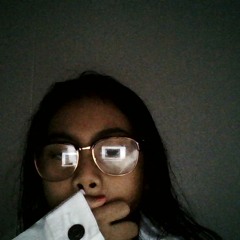 Justin and one direction fan