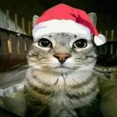 christmas cat (nice) (cat gang leader)