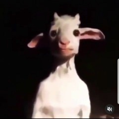 Illino