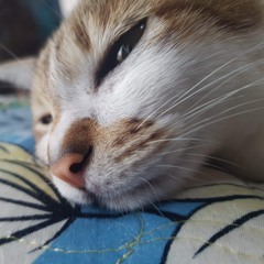 chanhtunek