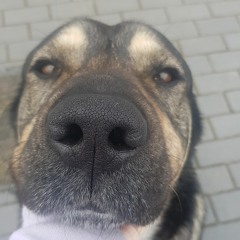 ‡♪†★nati★†♪‡