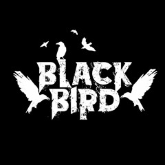 Black Bird