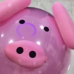 jasos_biba