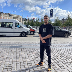 אריאל בירין