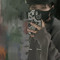 Tr Phuong deptraii