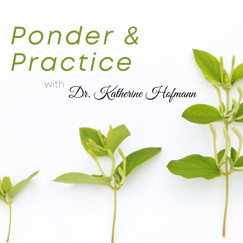 Ponder and Practice