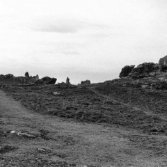 Enez eusa