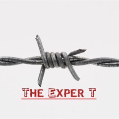 The-Exper-T