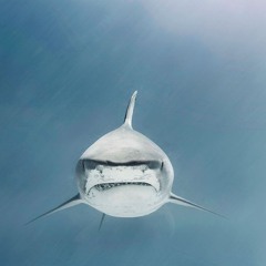 deep___sea