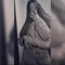 Razan