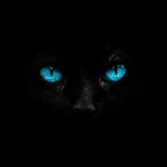 Trapcat Records