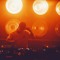 Noah – Gold