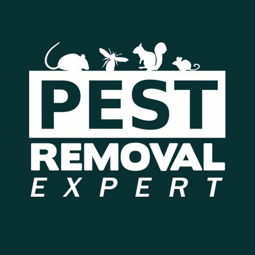 Stream Pest Removal Expert music Listen to songs, albums, playlists