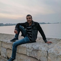 Mohamed Hamdy