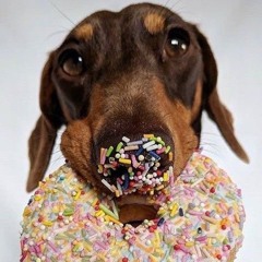 Sprinkles