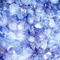 Crystal_devil14
