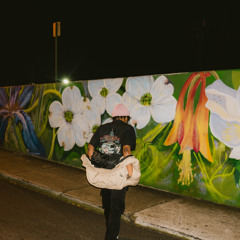 Blurr