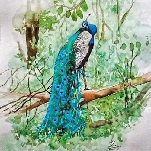 Uvindu Ayshcharya - Sithuwam Hade.mp3